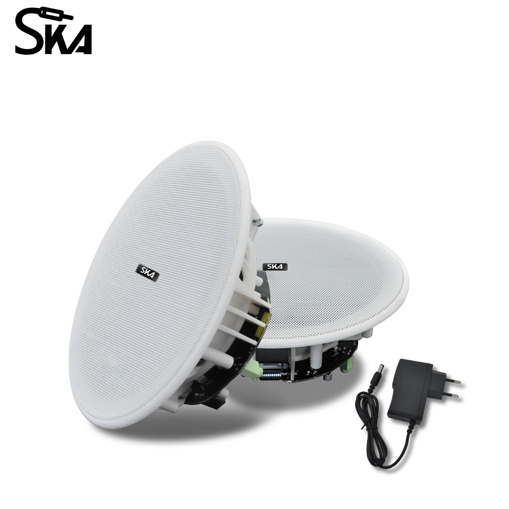 Потолочный Bluetooth-динамик,  – обзор и цена Home Cinema Speaker System